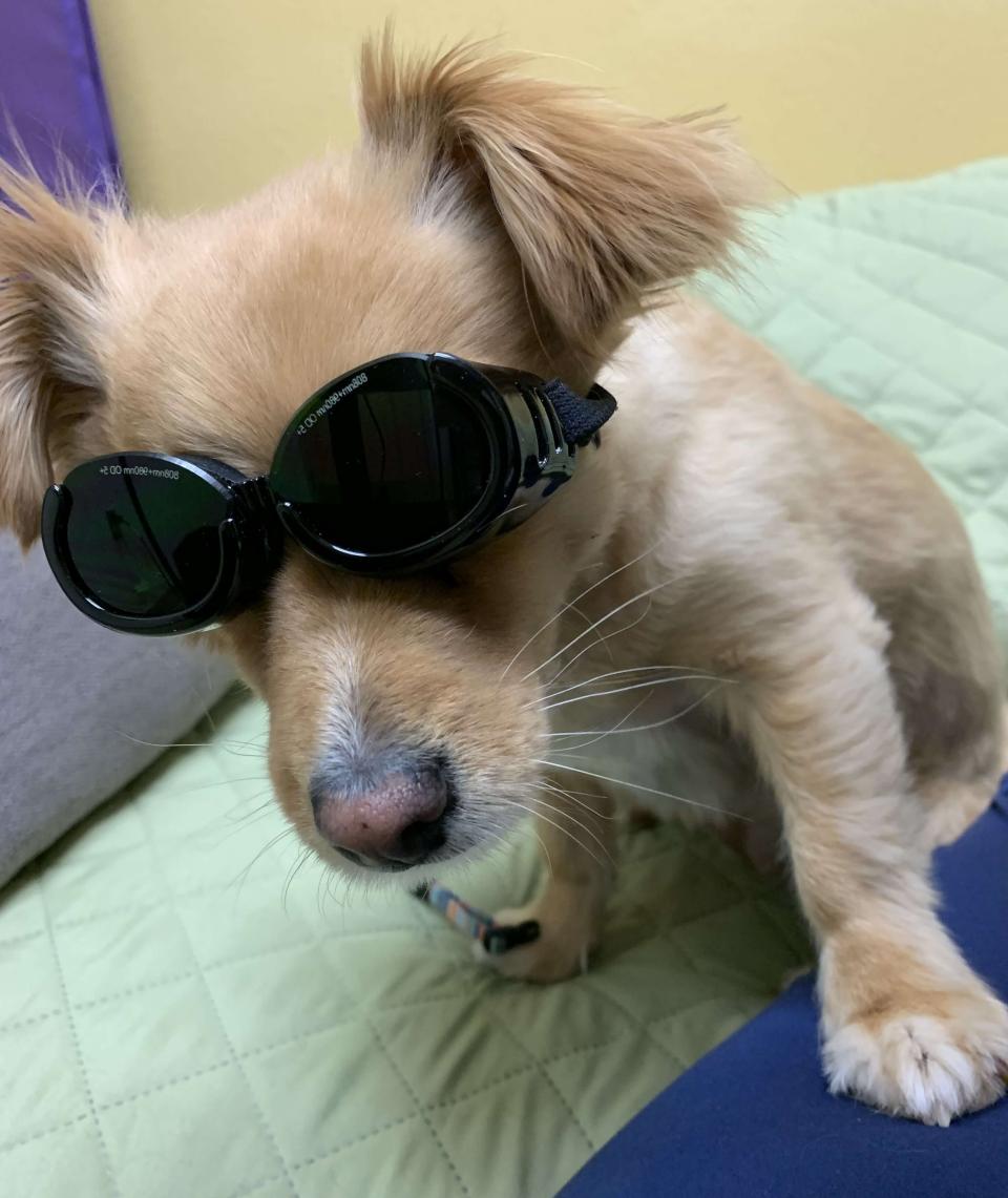 laser therapy