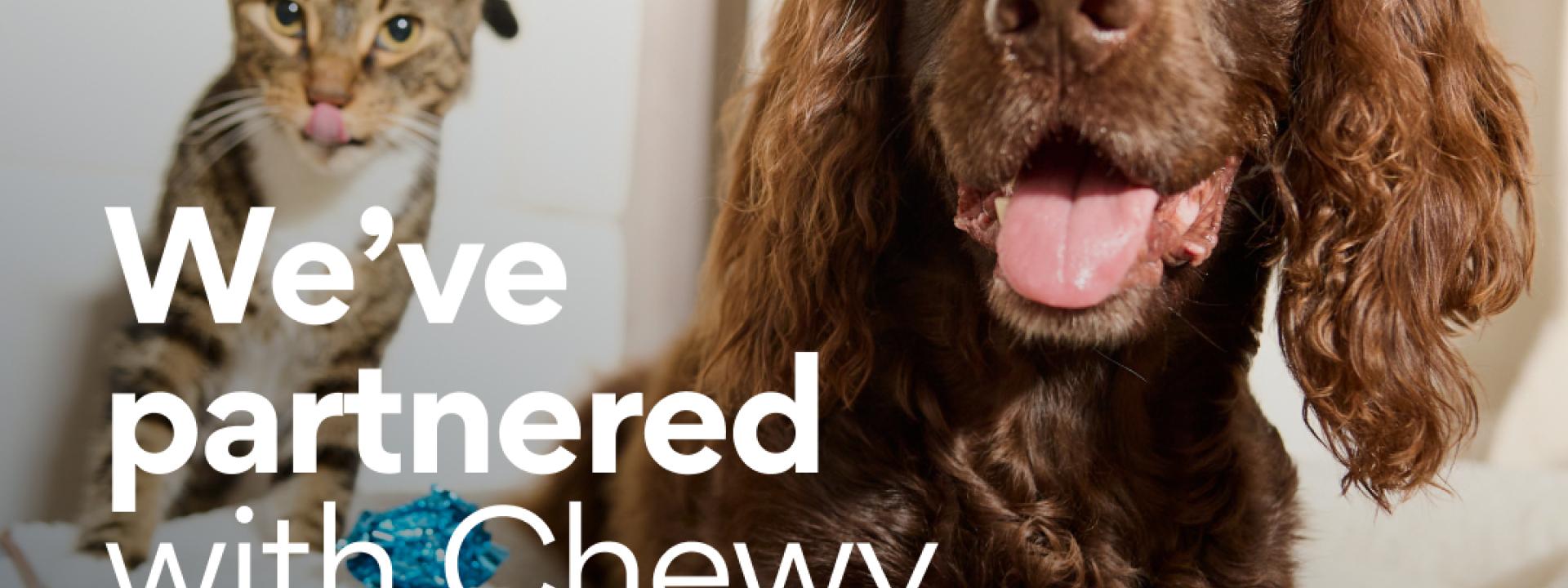 Chewy